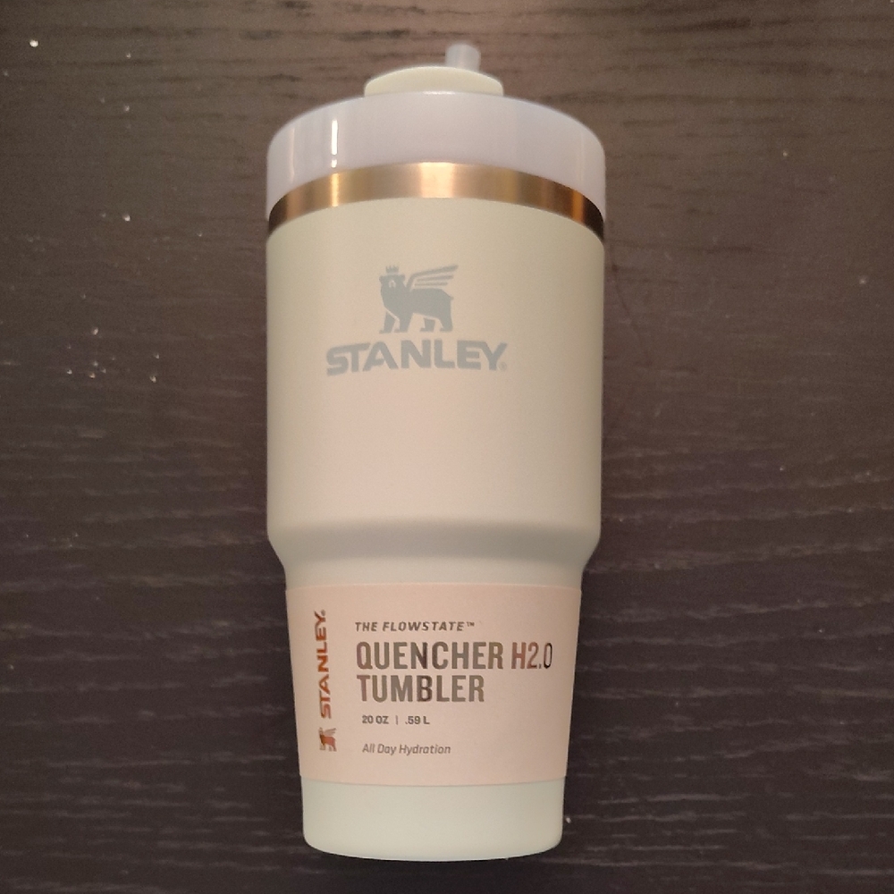 Stanley Quencher H2.0 Tumbler 20oz - Mint